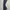 TRACK PANTS ADIDAS CLIMALITE  photo 1