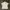 Polo shirt Adidas Resort & Sports. photo 1