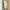 By Miel Kw Ruffle Cream Midi Dress photo 1