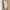 By Miel Kw Ruffle Cream Midi Dress