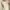 By Miel Kw Ruffle Cream Midi Dress photo 6