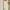 By Miel Kw Ruffle Cream Midi Dress photo 2