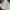 SAMSUNG A51 photo 4