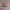 NEW BALANCE 220 RED photo 1