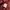 The North Face Gorpcore Sportswear Track jacket Pria orange red photo 7