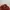 The North Face Gorpcore Sportswear Track jacket Pria orange red photo 8