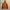 Montbell Gorpcore Sportswear Windbreaker Pria orange red photo 4