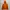 Montbell Gorpcore Sportswear Windbreaker Pria Orange Red