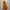 Montbell Gorpcore Sportswear Windbreaker Pria Orange Red