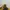 Blackyak Gorpcore Sportswear Windbreaker Pria yellow black photo 8