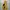 Blackyak Gorpcore Sportswear Windbreaker Pria Yellow Black