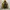 Blackyak Gorpcore Sportswear Windbreaker Pria yellow black photo 3