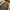 Blackyak Gorpcore Sportswear Windbreaker Pria yellow black photo 6