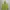Dunlop Casual Sportswear Windbreaker Pria Green Khaki