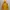 Gorpcore Sportswear Windbreaker Pria Yellow Orange
