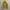 Gorpcore Sportswear Windbreaker Pria yellow orange photo 4