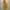 Gorpcore Sportswear Windbreaker Pria yellow orange photo 1