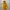 Gorpcore Sportswear Windbreaker Pria Yellow Orange