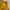 Gorpcore Sportswear Windbreaker Pria yellow orange photo 6
