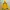 Sportswear Windbreaker Pria Yellow Green