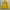 Sportswear Windbreaker Pria yellow green photo 3