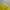Casual Sportswear Windbreaker Pria yellow photo 4