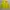 Casual Sportswear Windbreaker Pria yellow photo 3