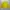 Casual Sportswear Windbreaker Pria yellow photo 1