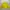 Casual Sportswear Windbreaker Pria Yellow