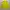 Casual Sportswear Windbreaker Pria yellow photo 2