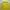 Casual Sportswear Windbreaker Pria Yellow