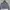 Jaket Sport Running Puma Dry Cell Lilac photo 1