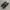 NEW BALANCE RISEM 2 COMFORTRIDE photo 5