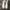 Nike Streetwear Skater Sneakers Pria white black photo 3