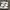 Nike Streetwear Skater Sneakers Pria white black photo 1