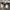 Nike Streetwear Skater Sneakers Pria white black photo 4