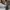 Sepatu Nike Air Force 1 x Off White Men's Euro 41 photo 7