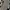 Carhartt Streetwear Pria multicolor photo 2