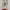 Sepatu Nike Air Jordan 1 x Off White Euro 42,5 second ori photo 2