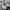 Adidas Vintage Sportswear Sneakers Pria White Black