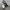 Adidas Vintage Sportswear Sneakers Pria white black photo 5