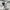 Polo Ralph Lauren Lolita Summer Dress Wanita Multicolor