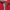 Polo shirt Domani Red second original vintage 90s photo 4
