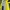 Firslook Gorpcore photo 5