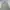 Partimento Casual Parka Wanita cream photo 6