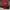 Nike Air Jordan Streetwear Sportswear Sneakers Pria red black photo 6