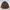 Chicco Casual Parka Pria brown photo 1