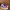 Converse Chuck Taylor Hi x Stussy Crocskin Leather Purple N4 photo 3