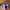 Converse Chuck Taylor Hi x Stussy Crocskin Leather Purple N4 photo 6