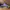 Converse Chuck Taylor Hi x Stussy Crocskin Leather Purple N4 photo 2